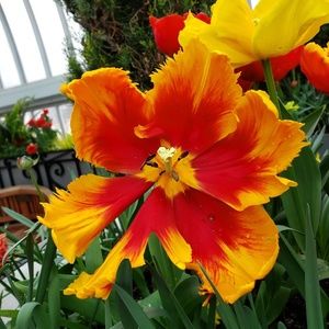 Meet your Posher, April